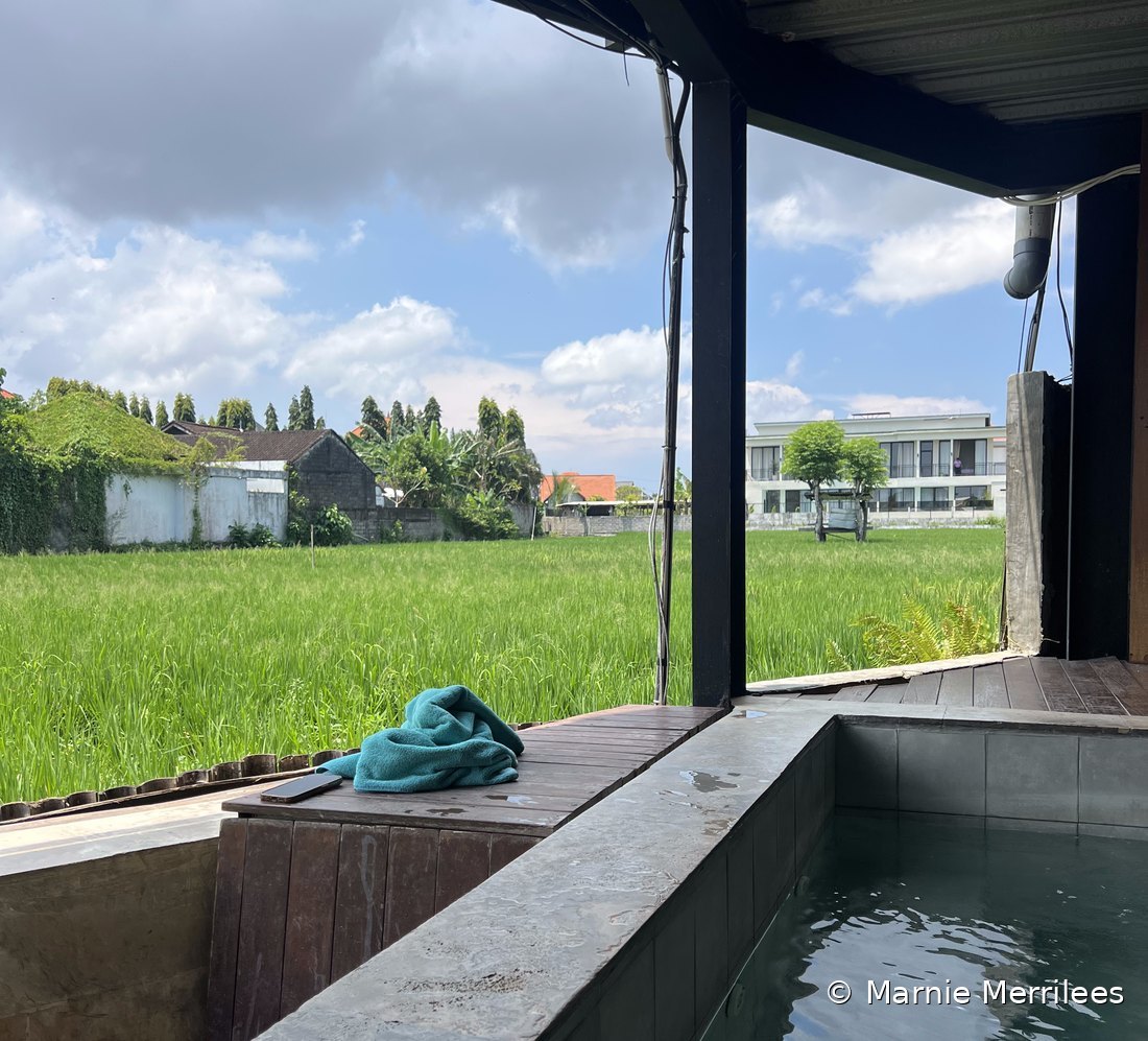 Outdoor cold plunge pool